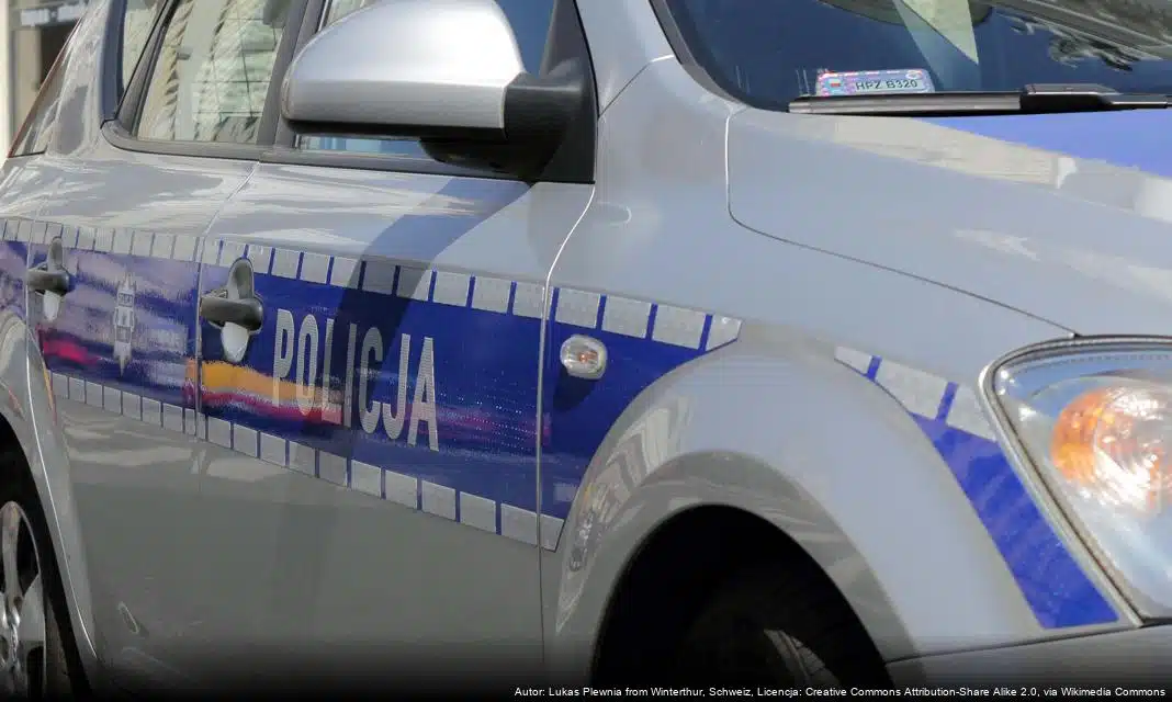 20-latek podejrzany o podpalenia i zniszczenie mienia w Bogatyni