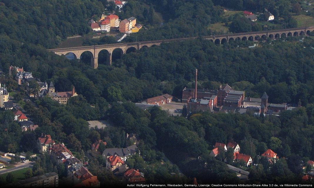 Trzecie urodziny parkrun w Parku Nadnyskim