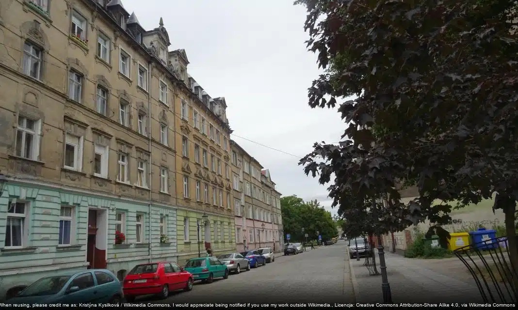 Wiosenny baby boom w Zoo Görlitz-Zgorzelec